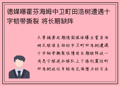 德媒曝霍芬海姆中卫町田浩树遭遇十字韧带撕裂 将长期缺阵