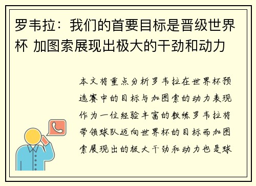 罗韦拉:我们的首要目标是晋级世界杯 加图索展现出极大的干劲和动力